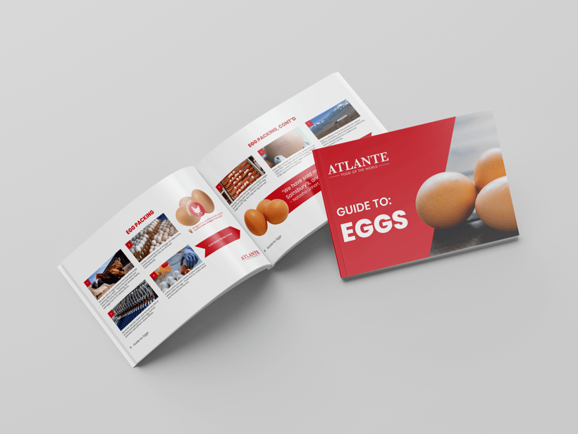 eggs brochure mock-up